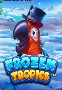 Icon-Frozen-Tropics-ทดลองเล่นสล็อต-ค่าย-Pragmatic-play-เกมใหม่2023